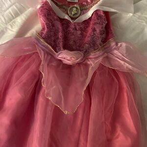 Disney Pink and Gold Princess Costume